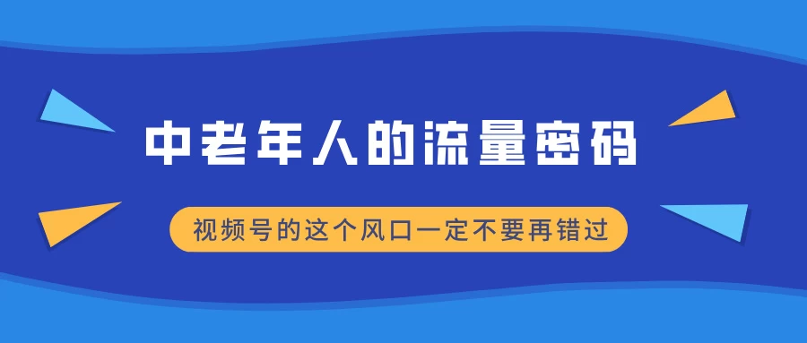 中老年人的流量密码，视频号的这个风口一定不要再错过，小白轻松月入过万-创客联盟资源网-本站致力于分享优质实用的互联网资源,创业项目,软件工具